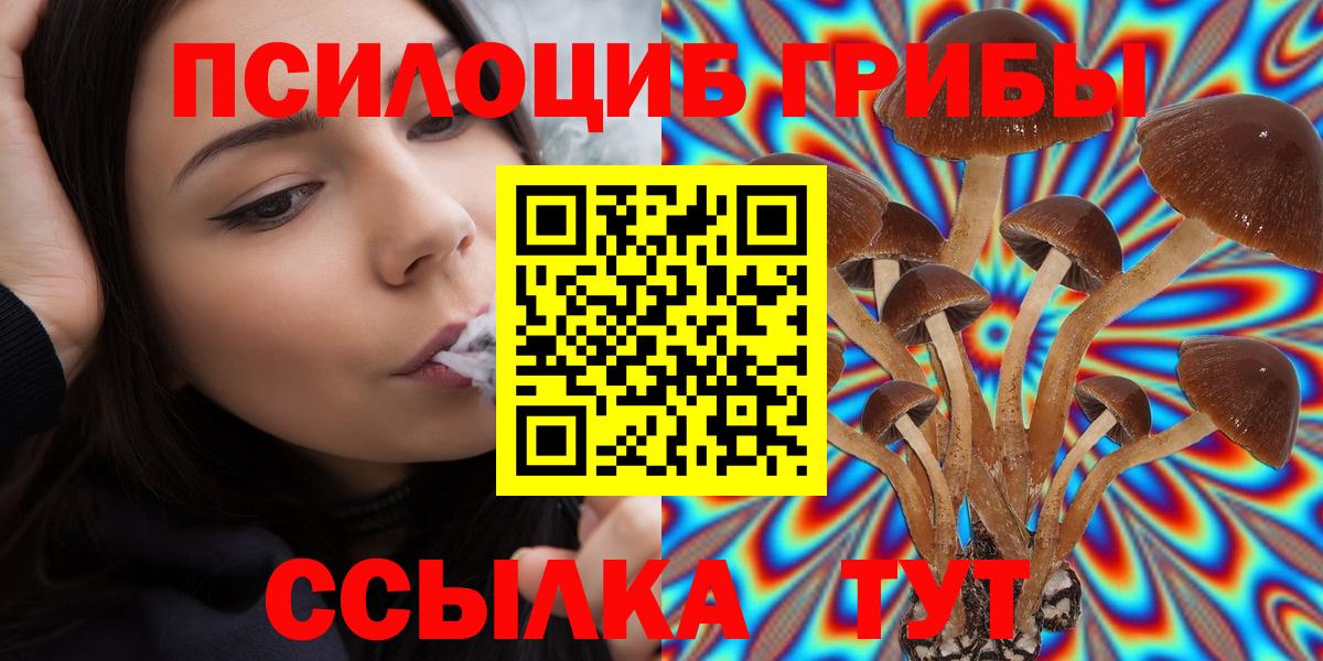 Псилоцибиновые грибы мицелий  Псилоцибиновые грибы мухоморы  Губаха  Вход с VPN 