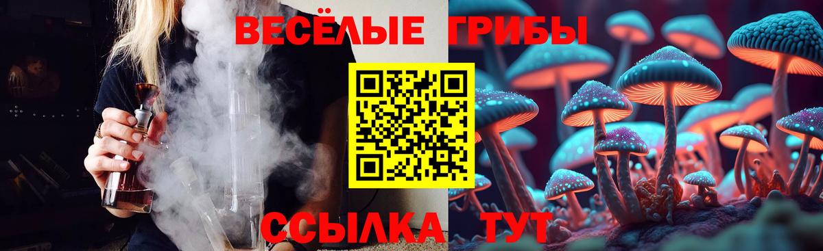 Псилоцибиновые грибы Psilocybe Губаха